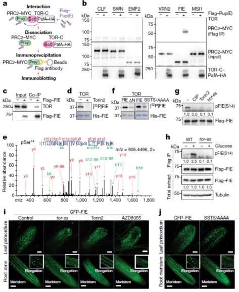 8723937381884dc6abfdb0c26cbc553e.png image.png