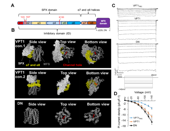80604eb45adc40ab9329d1db1cb9509a.png image.png