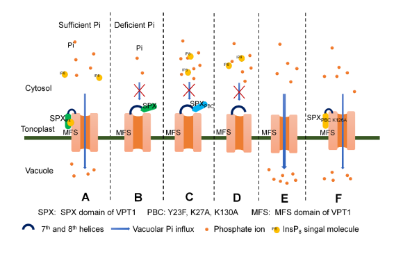 e7a4109b42bc49279b8c2013de75511c.png image.png