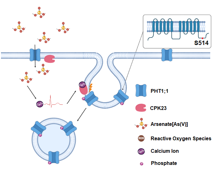 cc8a55cb7e2b482890eca720e2b5b2b7.png 微信图片_20230329115717.png